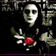 Flor_card