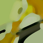 874cop_1_copy_card