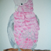 Cimg4600_card