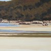 Beach__wilson_s_promontory_thumb