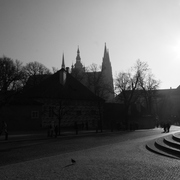 Img_1526_card