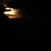 Moon_light_becomes_you_card