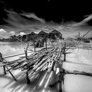 Waterlock_bw_alien_infrared_version_card