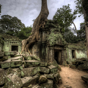 Jayavarman_s_staff_color_card