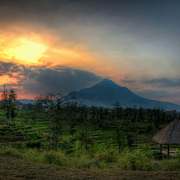 Hava_java_sunset_1_card