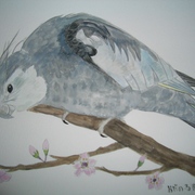 Cimg4895_card