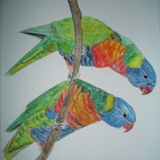 Cimg5100_card