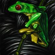 Fulltree_frog_2047_img12042076869_card