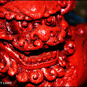 Dsc_0338_card