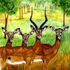Impala_herd6_184_thumb