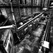 Pipe_blight__b_w_overlay_version__card