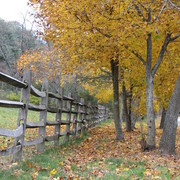 Img_7107_card
