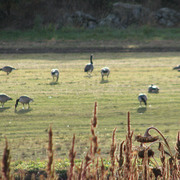 Img_7000_card