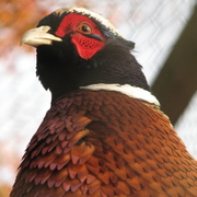 Img_7023_card