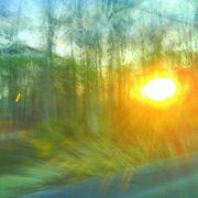 Dsc00215_card