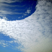 S5001699_card