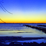 S5001739_card