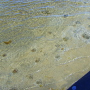 S5000221_card