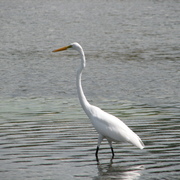 Img_6886_card