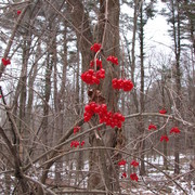 Img_7255_card