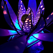 Luminescent_lotus_card