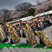 We_kings_of_orient_are_2_card