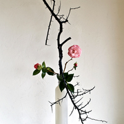 Ikebana-172_card