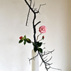 Ikebana-172_thumb