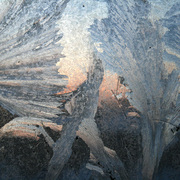 Ice2_card