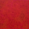 Nr4_thumb