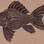 Fish1_card