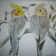 Cimg5612_card
