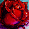 Die_rose----_thumb