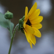 Dsc00124_card
