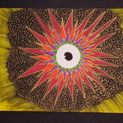 John_universe_022_card