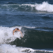 Surfin-165_card