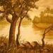 Nature_square