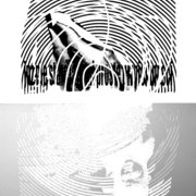 18_card