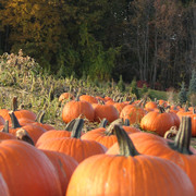 Img_7010_card