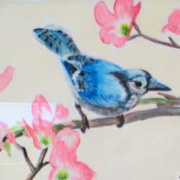 Blue_jay_card