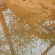 S5000506_card