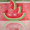 Dsc02835_thumb