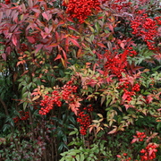 Img_3089_card