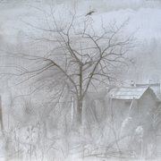 2008-appl-tree11i10larg_card