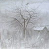 2008-appl-tree11i10larg_thumb