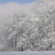 Winter_life_card