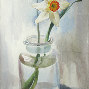 2007-narcisslarg_card
