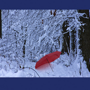 The_red_umbrella_card
