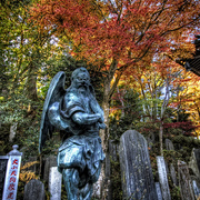 Fall_of_the_tengu_card