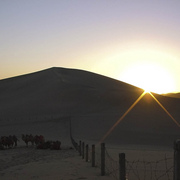 Gobi_dawn_card